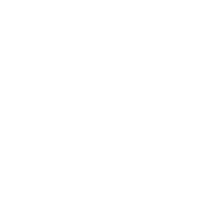 Pins Mechanical